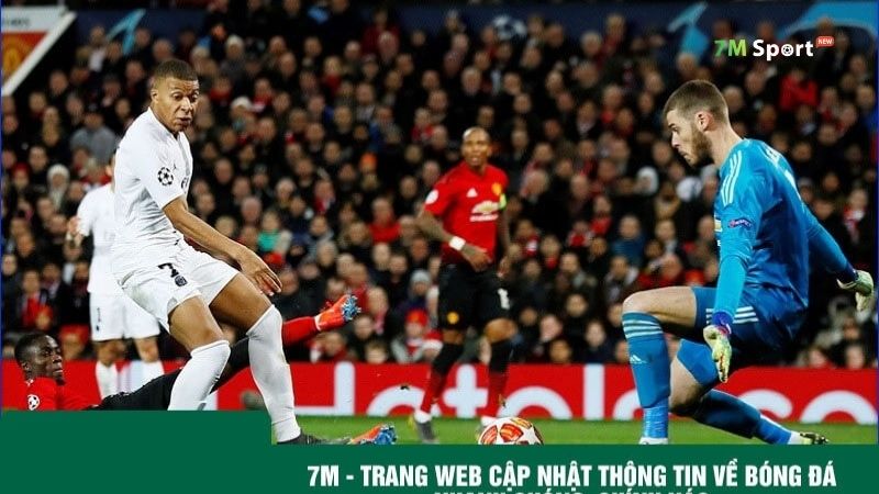 7M - Trang kênh tin tức bóng đá uy tín hàng đầu thị trường hiện nay