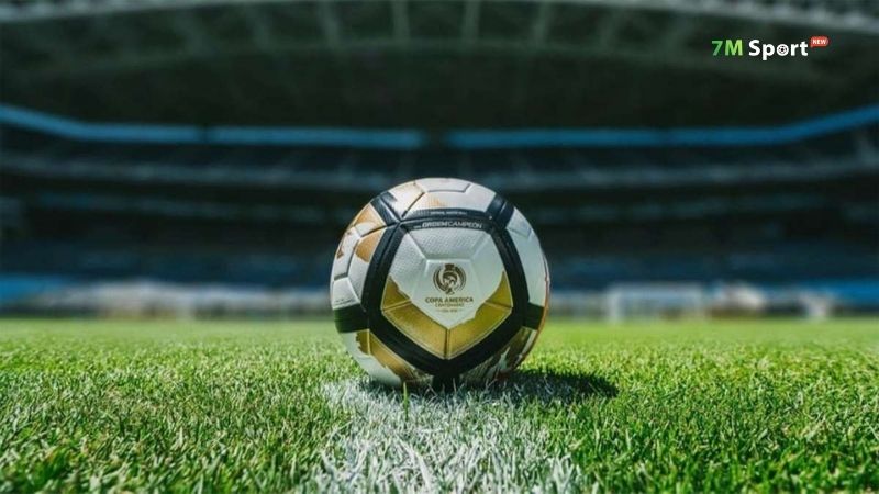 7M hướng đến mục tiêu dài hạn khi hoạt động