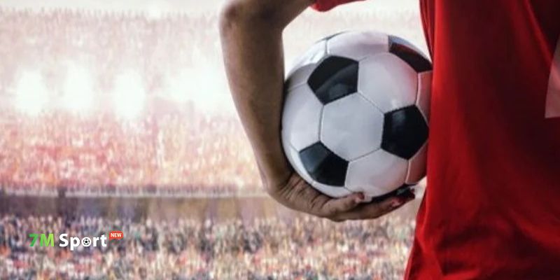 Bật mí lý do giúp 7M thu hút hàng nghìn lượt truy cập mỗi giờ Bật mí lý do giúp 7M thu hút hàng nghìn lượt truy cập mỗi giờ