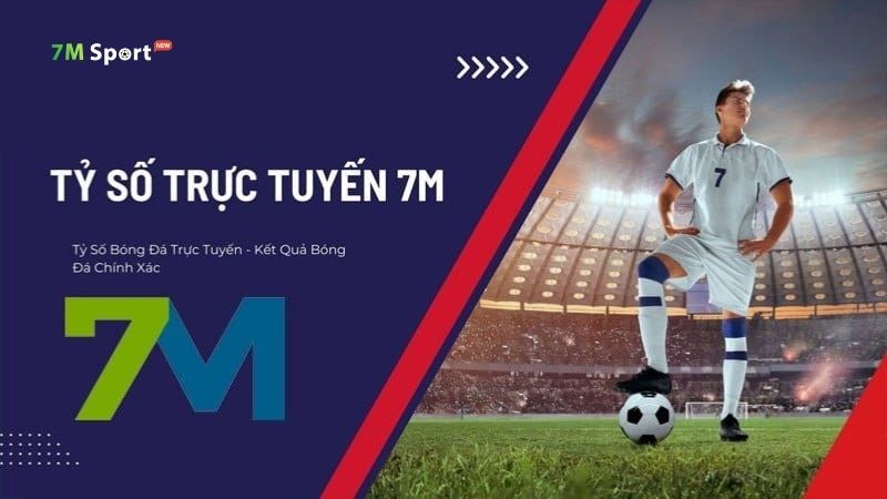 Quy định về tính trách nhiệm của 7M được xây dựng chặt chẽ Quy định về tính trách nhiệm của 7M được xây dựng chặt chẽ