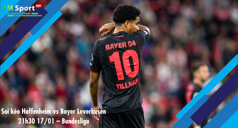 Đội hình dự kiến trước trận Hoffenheim vs Bayer Leverkusen Đội hình dự kiến trước trận Hoffenheim vs Bayer Leverkusen