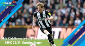 Đội hình dự kiến trước trận Newcastle vs PSV Eindhoven